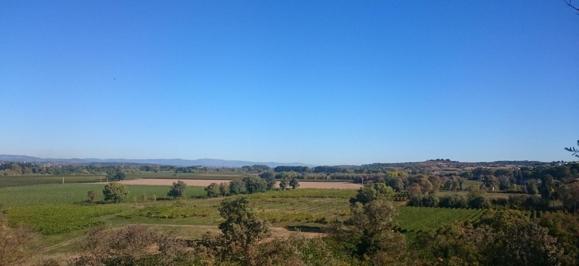 Camping Les Amandiers Castelnau-de-Guers Exteriör bild